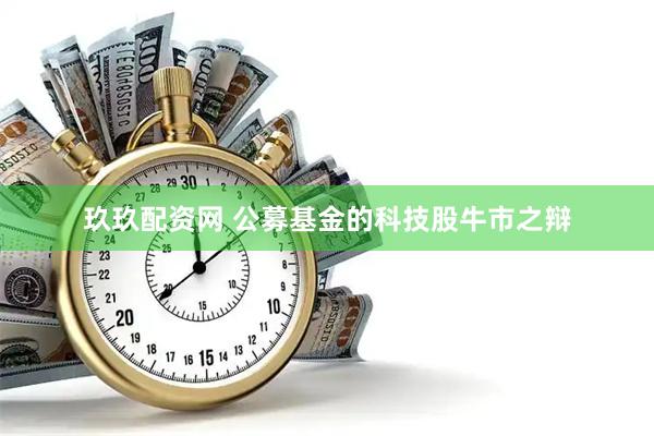 玖玖配资网 公募基金的科技股牛市之辩