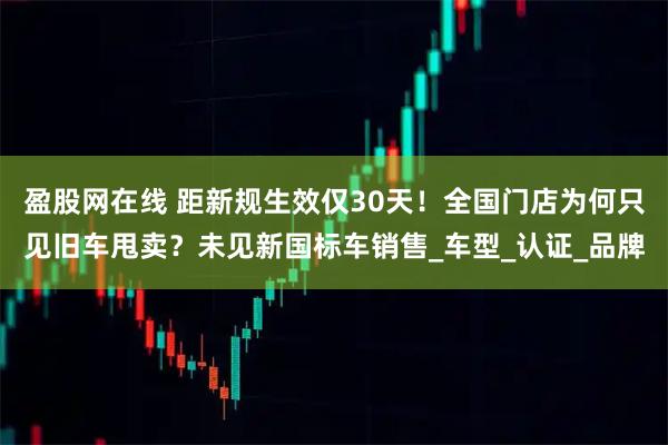 盈股网在线 距新规生效仅30天！全国门店为何只见旧车甩卖？未见新国标车销售_车型_认证_品牌