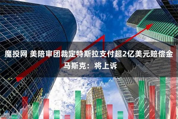 魔投网 美陪审团裁定特斯拉支付超2亿美元赔偿金 马斯克：将上诉